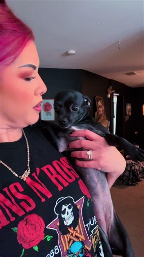 And she missed twice! How? Imma clean it cause I love you but goddamn! Hit the pad girl!! #dogs #chihuahuastiktok #pets #dogmom #poop