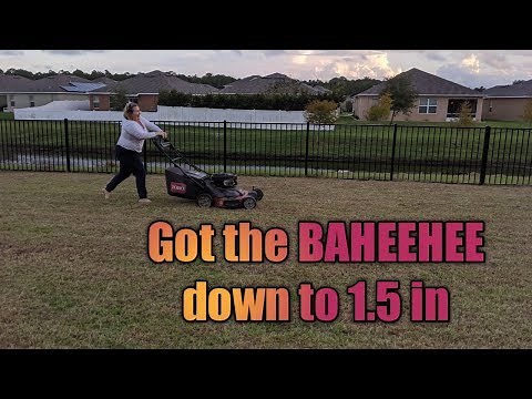 How to Dethatch a Lawn | VonHaus Dethatcher |