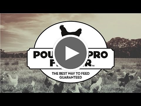 Poultry Pro Feeder, The Best Way To Feed Guaranteed