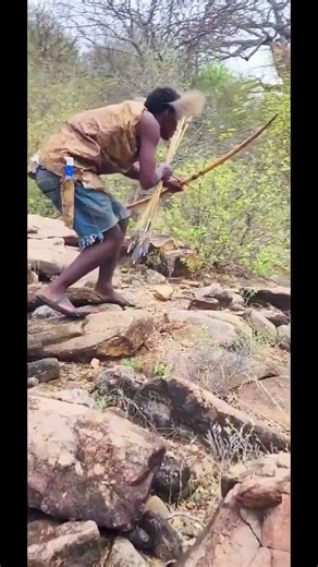 Primitive Bow Hunting in the Wild | Real Tribal Survival Skills#wildlife #triballife #villagelife