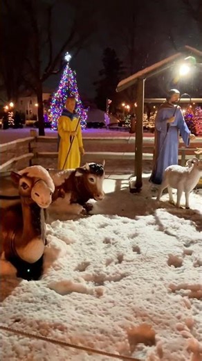 Downtown Plymouth Michigan at Christmas #michigan #christmas #plymouth #explore