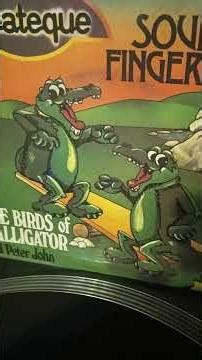 The Birds Of Malligator And Peter John - Soul Finger - 1977 - Atlantic - Italy 🇮🇹