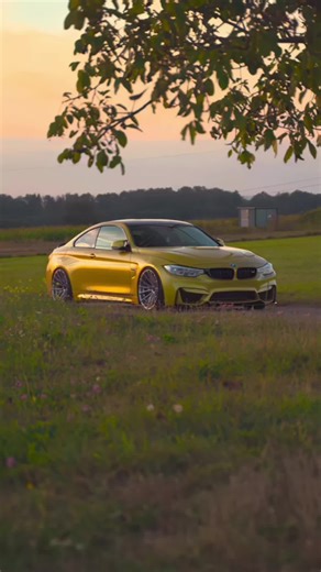 Vidéos de galaxi13🇮🇹🇲🇫🇧🇷🇲🇱 (@galaxi.seb) avec Coco Jambo (Dance Mix) - Josh Nor