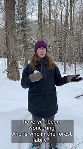 7.4K views · 99 reactions | Without their leaves, deciduous trees look a whole lot different, but their important identification features actually stay the same. ADK Outreach Manager Earthworm Eliza lets you know what you look for when you're trying to ID a tree in the winter. #adk #adirondacks #outdooreducation #naturalist #highpeaks | Adirondack Mountain Club | Facebook