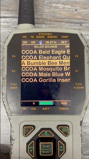 Killer sounds for Foxpro calls