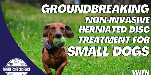 Degrees of Science: Herniated Disc Treatment