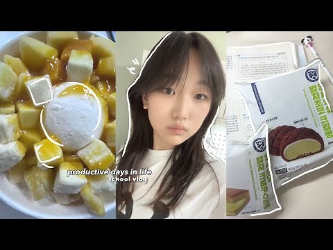 SCHOOL VLOG౨ৎ productive days in life, korean student daily life, HUGE clothing haul