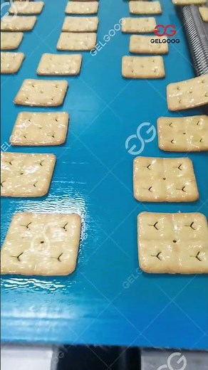What is Biscuit Production Line?
