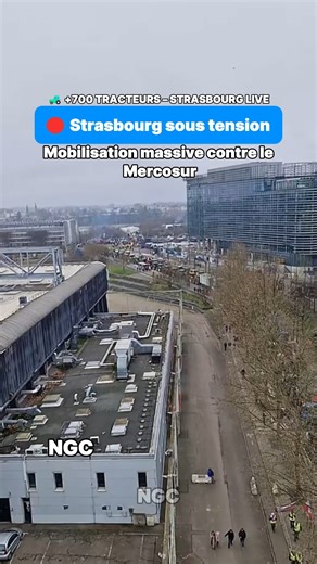 NGC on Instagram: "🔴 LIVE – Images filmées à l’instant Scène impressionnante à Strasbourg : 👉 plus de 700 tracteurs et des milliers de manifestants rassemblés devant les institutions européennes. Mobilisation massive, dispositif de sécurité renforcé, circulation fortement perturbée. 📹 Vidéo tournée sur place, en direct du terrain. #strasbourg #agriculteur #actu #info #agriculture"