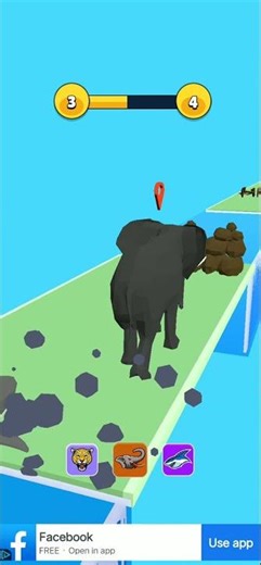 animals funny pose full video
