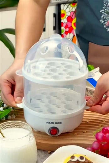 Versatile Egg Steamer for Perfect Eggs and Vegetables