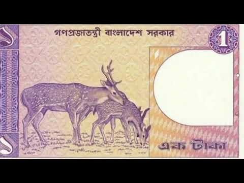 Three Deer is gotten by One Taka from Bangladesh