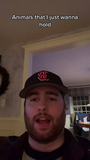 Adorable Animals I Want to Snuggle