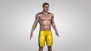 La commande du mouvement Les mouvements volontaires du corps sont commandés par le cerveau. À ses différentes aires correspondent des types de commande spécifiques. Cortex moteur, lobe frontal, lobe temporal, lobe pariétal, thalamus, cervelet jouent chacun un rôle bien particulier dans la formation et la transmission des messages nerveux vers l’extrémité des fibres neuronales qui activent les muscles. http://www.serimedis.inserm.fr | Biologie Université