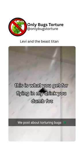 @bugsvideosonly | Bug zappers attract insects using ultraviolet light and then electrocute them on contact. They’re often used outdoors, especially in areas... | Instagram