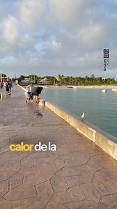 🟦🌊 Puerto Progreso: el mar que abraza Yucatán 🇲🇽✨ Sus aguas tranquilas, su muelle interminable y su brisa cálida crean un paisaje que invita a quedarse. Entre playas claras, gastronomía local y atardeceres que pintan el cielo, Progreso se convierte en un respiro del alma. Un rincón donde el Caribe y la calma se encuentran. #PuertoProgreso #Yucatán #PlayasDeMéxico #MarYTradición #SoyNativo | Soy Nativo