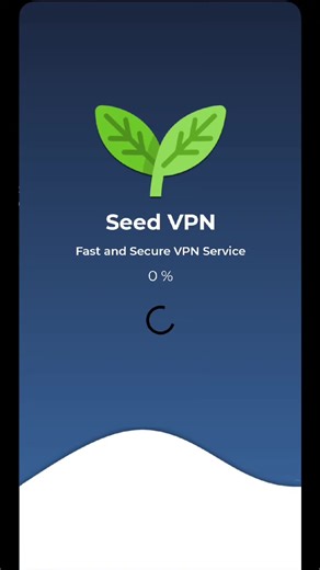 Seed VPN: The Future of Technology in 2026
