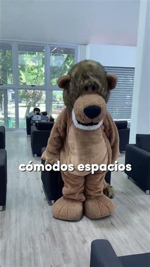 ¡Conoce la Biblioteca Central de la Usach!🦁