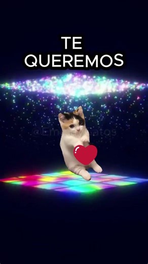 Feliz cumpleaños catos de Mayo💜 #storytime #humor #gatitoslindos