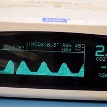 Video: Deep Brain Stimulation with Simultaneous fMRI in Rodents