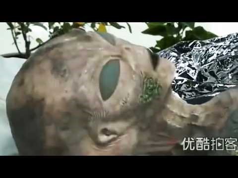 Surprise: Real Alien Body is on Display in a Museum in Hong Kong !!!