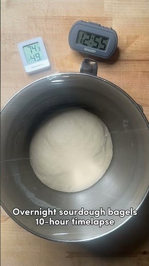 10-Hour Timelapse: Sourdough Bagel Dough