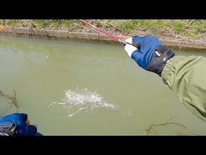 Spring crucian carp fishing