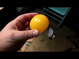 This yellow light bulb keeps bugs away!