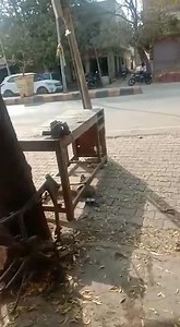 418K views · 2K reactions | પેટ્રોલના વધતા જતા ભાવોને લઇ આ ભાઈએ બેટરીથી ચાલતી બાઈક.... | 20 News Channel | Facebook