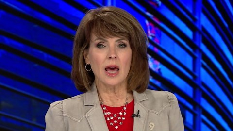 Report confirms Canadian gray wolf death in Colorado