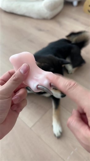 The safest, calmest nail-care tool your pet will ever use 🐾✨ "I used the 2-in-1 LED Nail Clipper & Grinder on my Labrador today and I'm honestly shocked at how easy it was. The LED light is a lifesaver — I could clearly see the quick, so no more guessing or worrying. The grinder is unbelievably quiet, and for the first time ever, he didn’t pull away or get anxious. It feels like professional grooming but right at home. Battery life is fantastic too — one charge lasted me several sessions. This 