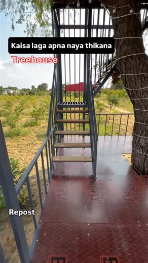 218K views · 9.2K reactions | To kuch aisa ban kar tayaar hua tha apna treehouse cum watchtower & rest area #Treehouse #Farmhouse #Farming | Haryana Gaurav | Facebook