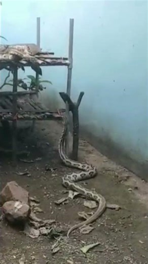 3 logo ki namaz qubool nahi hogi😭😭 #facts #amazing #islamic status #kinds #memorize #shorts viral