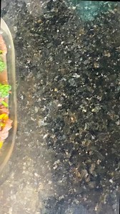 41K views · 2.3K reactions | CARNE COM BRÓCOLIS Só isso e um arroz...