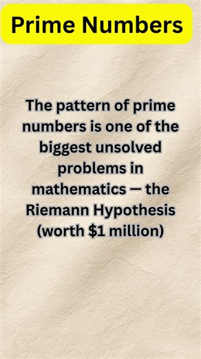 FACTS Prime Numbers - Mathematics #primenumbers #maths