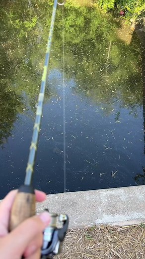 First Fishing Adventure with Bobber and Bread | Bluegill Catch | Creek Fishing