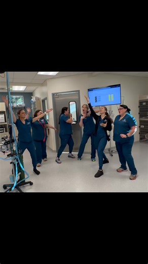 Funny Friday is here! | Pine Meadow Vet Clinic