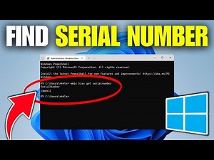 How To Find Laptop Serial Number in Windows 11