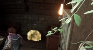 Coffres de collection de la Région de Feldcroft