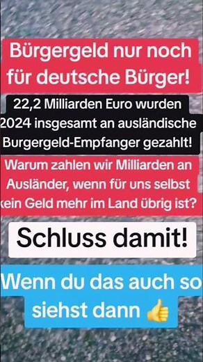 Schluss mit Bürgergeld für alle! ##deutschland #politik #bürgergeld