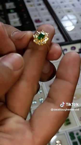 #swat #zamarood #germany🇩🇪 #england🇬🇧 #amerika🇺🇸