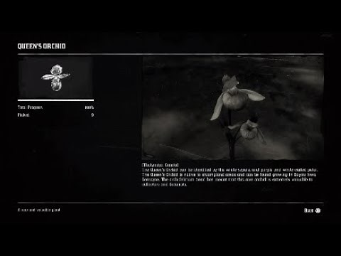 Red Dead Redemption 2: All 5 Queen's Orchids Locations