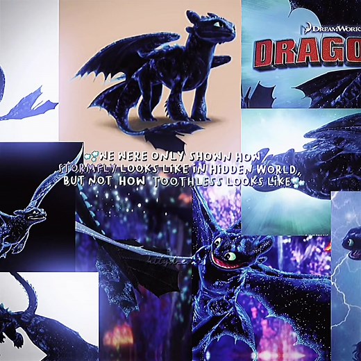 How to Train Your Dragon Toothless Hidden World