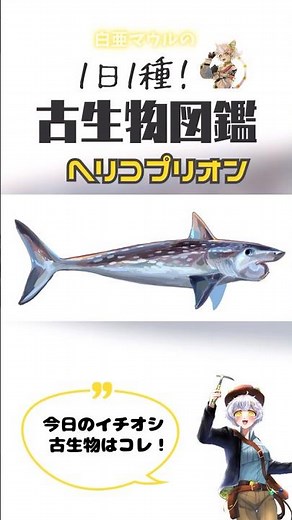 【１日１種！古生物図鑑】ヘリコプリオン #化石 #古代生物