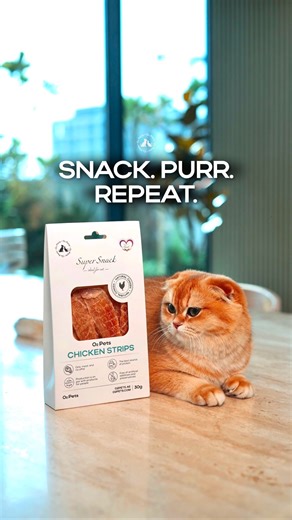 There’s something special about quiet moments. The soft crunch. The slow blink. The tiny purr that says “yes.” O2Pets Cat Snacks made with real ingredients, they bring balance, shine, and calm happiness to your cat’s day. No noise. No fuss. Just one perfect bite that says everything. Discover the collection at o2pets.ae, NOON or Amazon. | O2 Pets