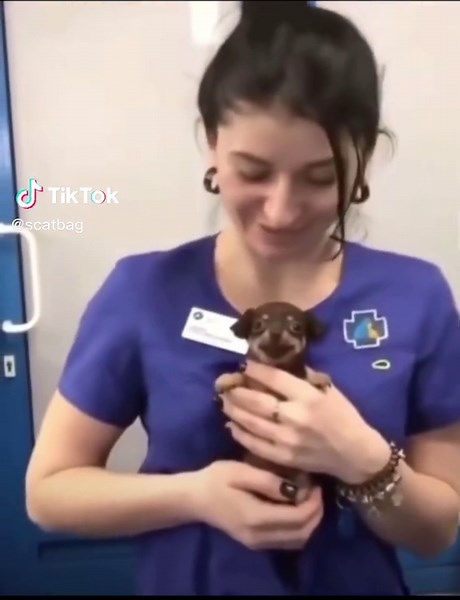 #CapCut #cute #puppy