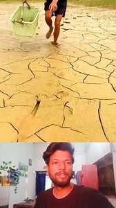The process of digging rice field eel in the fish pond | Mouse trap 2022