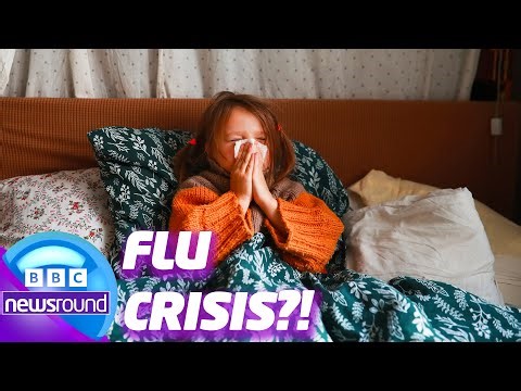 Is the Flu Spreading in Your School? 😷 | Newsround | News For Kids