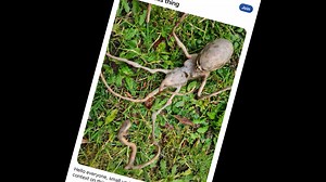 I saw a weird alien thing on Reddit, so I turned it into a map!