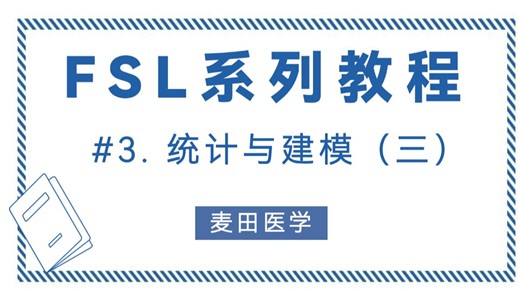 FSL系列教程 #3. 统计与建模 （三）
